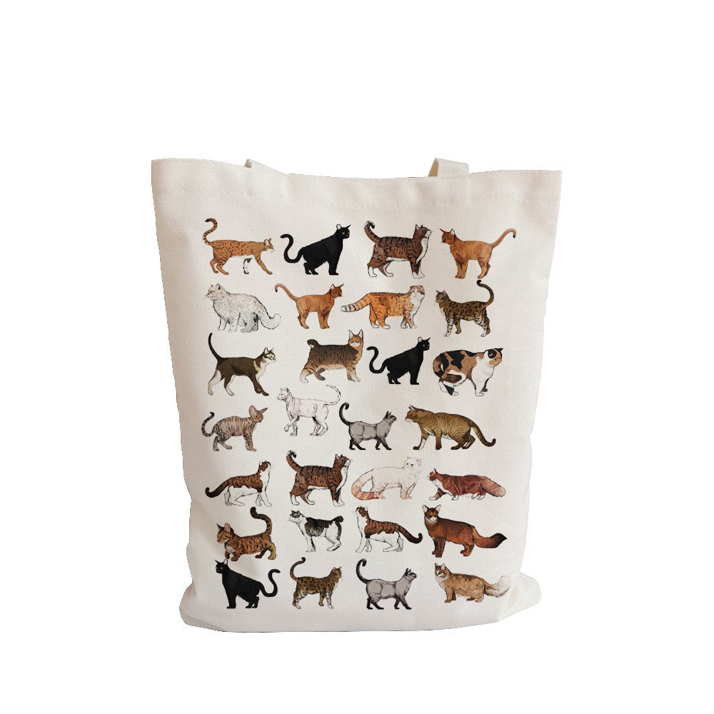 SAC MOTIF CHAT - #1